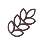 Gluten